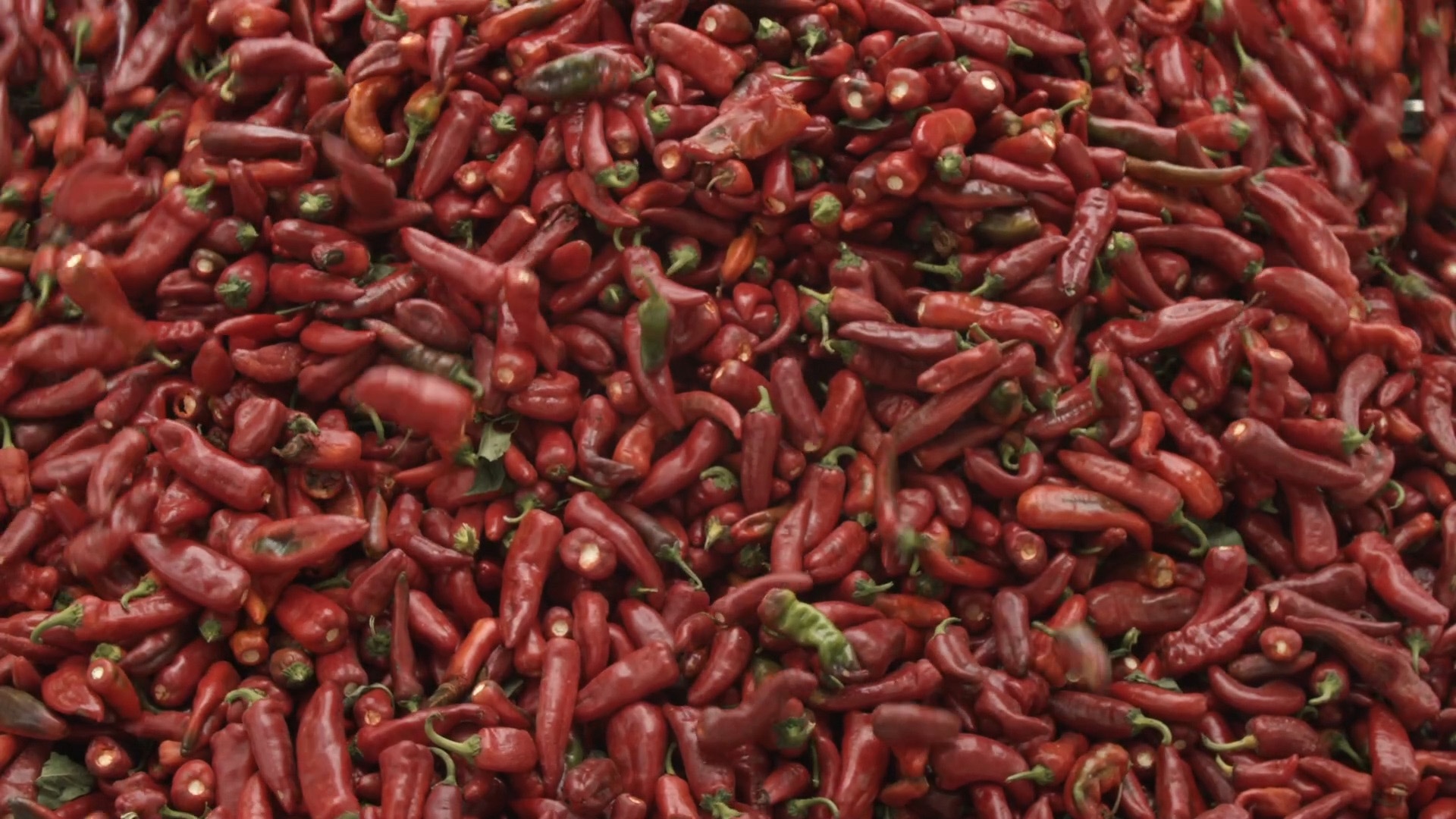 Domates Biber Depresyon görsel 3